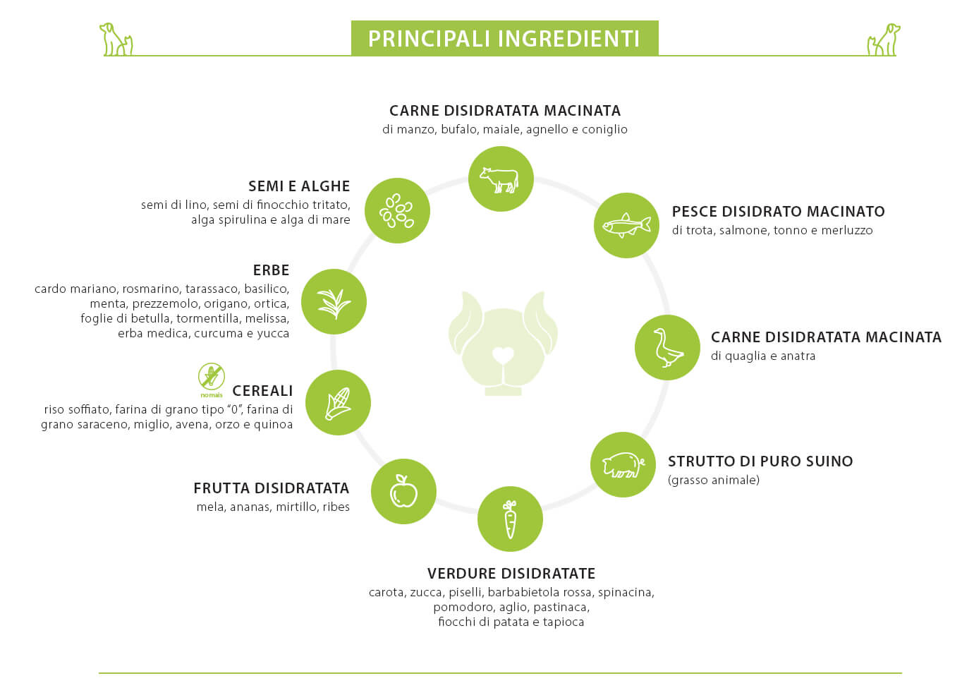 ingredienti-cane dettagli-ingredienti-cane