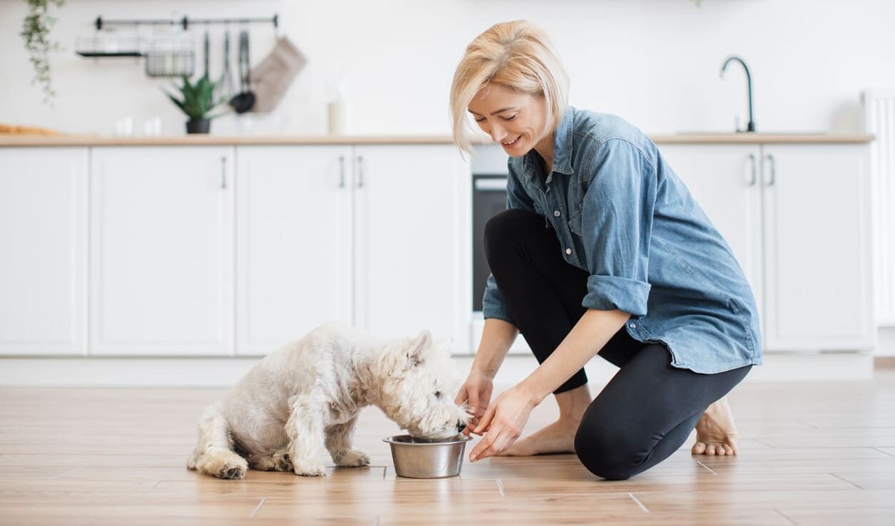Come pesare le crocchette del cane senza bilancia